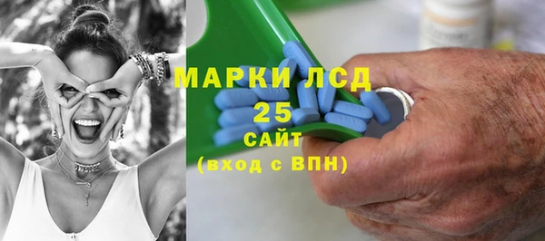 стаф Кодинск