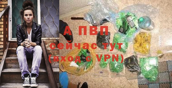 стаф Кодинск