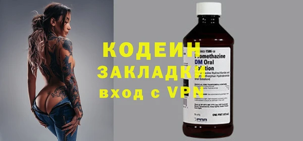 стаф Кодинск
