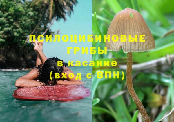 метадон Козельск