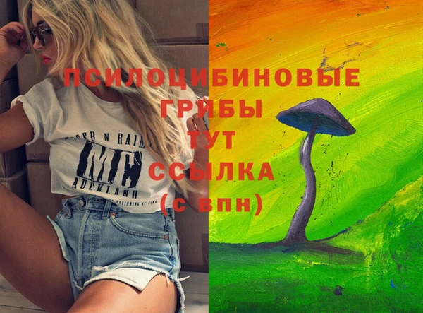 метадон Козельск