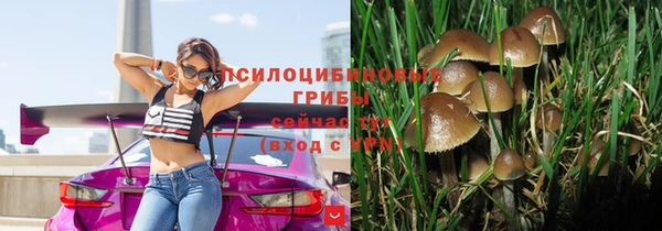 стаф Кодинск