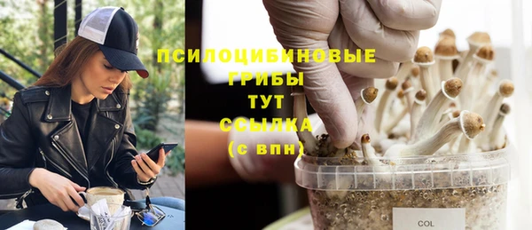 метадон Козельск